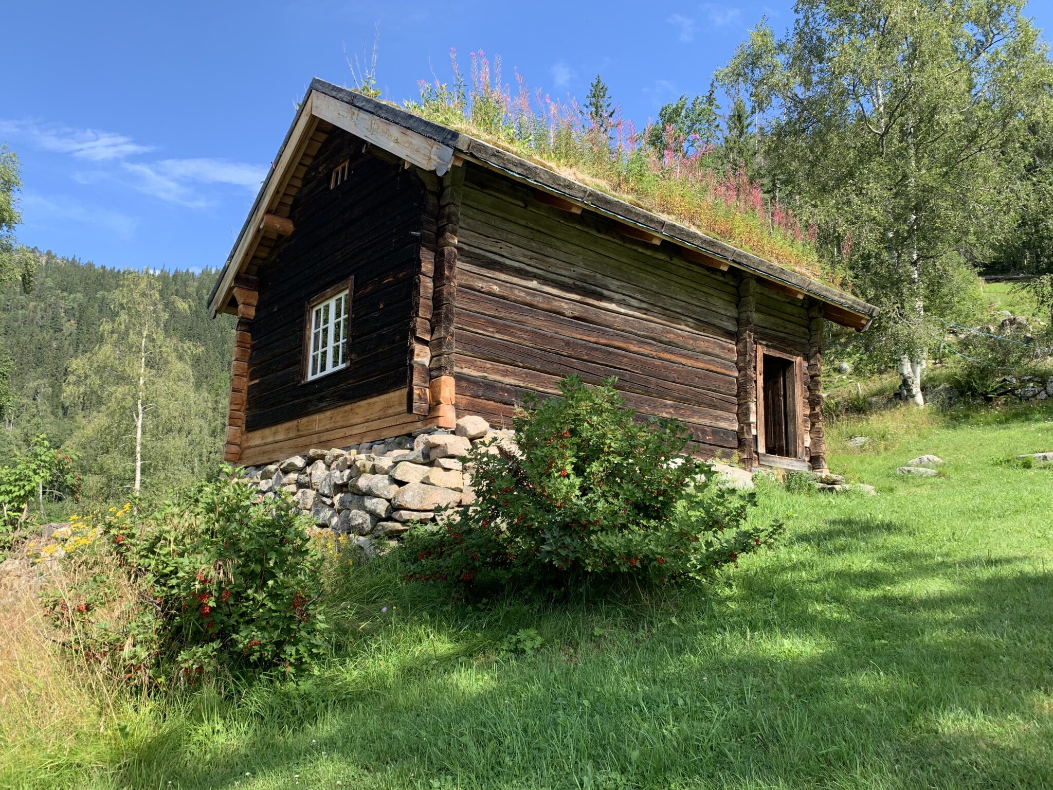 Rustic log cabin with a sod roof, stone foundation, and surrounding greenery in a lush mountain landscape