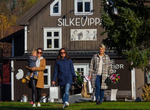 Damer på shopping i Åmot
