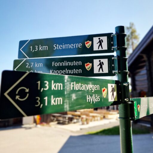 Nasjonalskilting av trustiar i åmot. Grønne skilt med Vinje IL logo